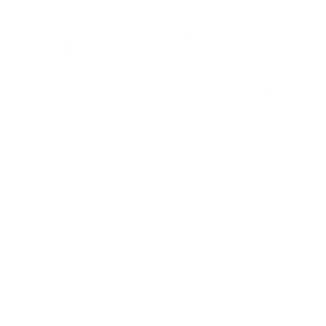VetraGo